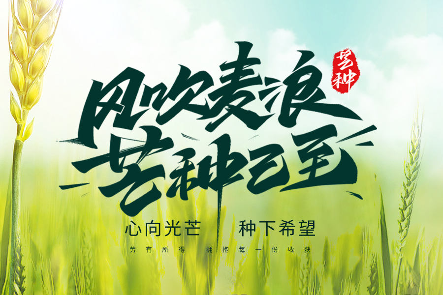 芒種至，盛夏始，一杯清茶，從容自在
