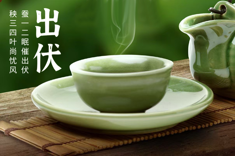 出伏暑去清風來，守一杯茶的閑逸，靜享秋日清歡